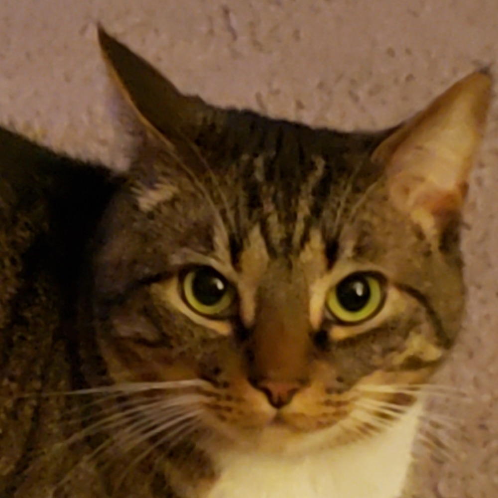 Meet your Posher, Sandy